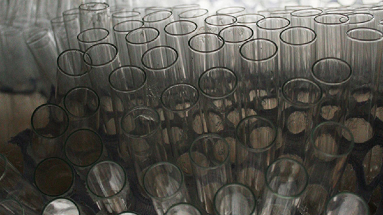 Molly Jo Burke: "Insectary II (detail from installation)," borosilicate glass test tubes, fabric, silicone, 2012
