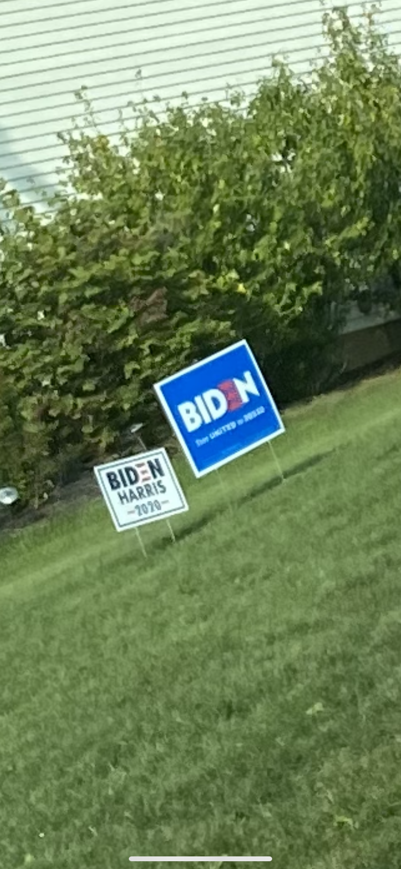 two BIDEN HARRIS yard signs