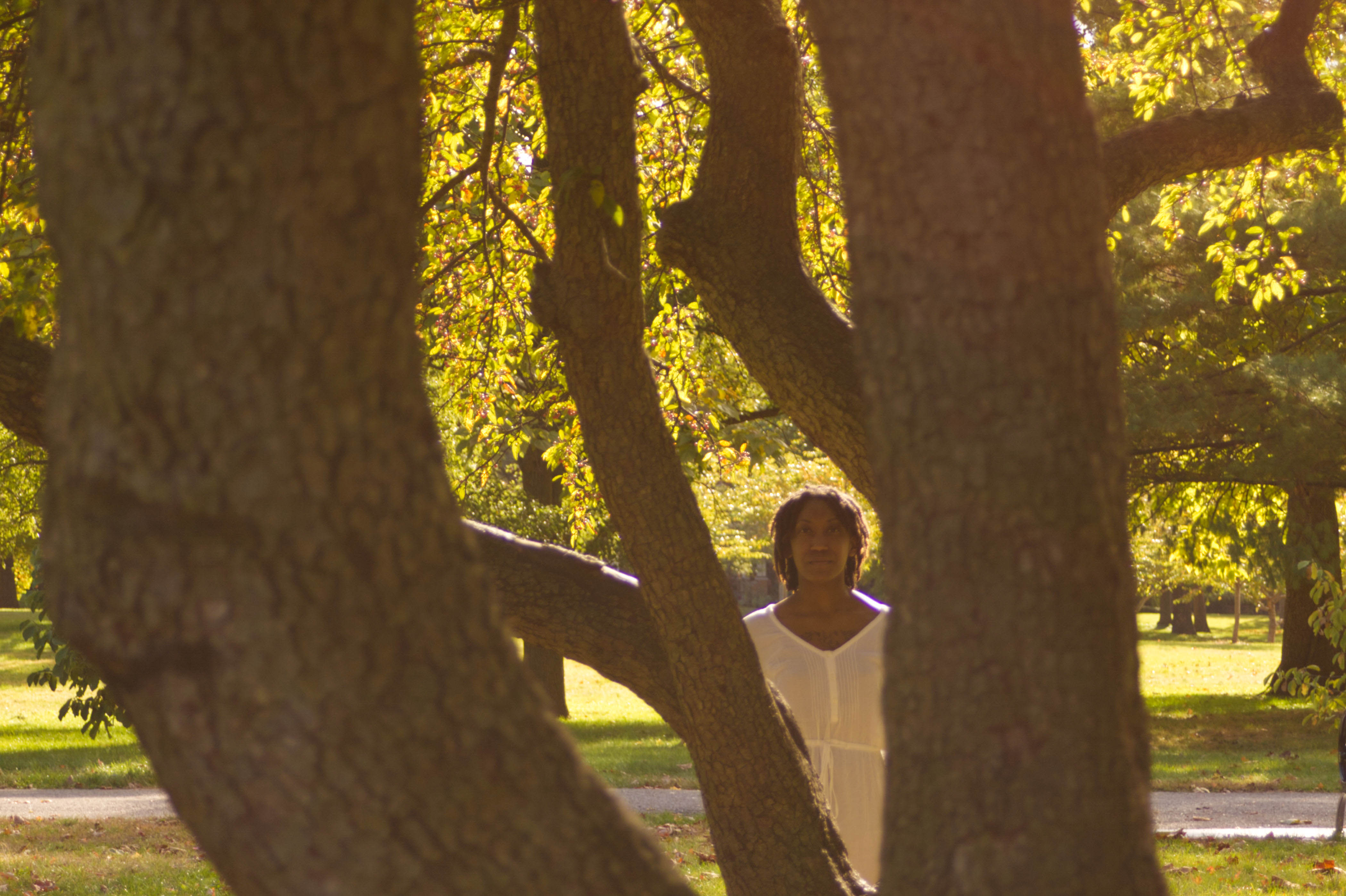 Woman and a tree