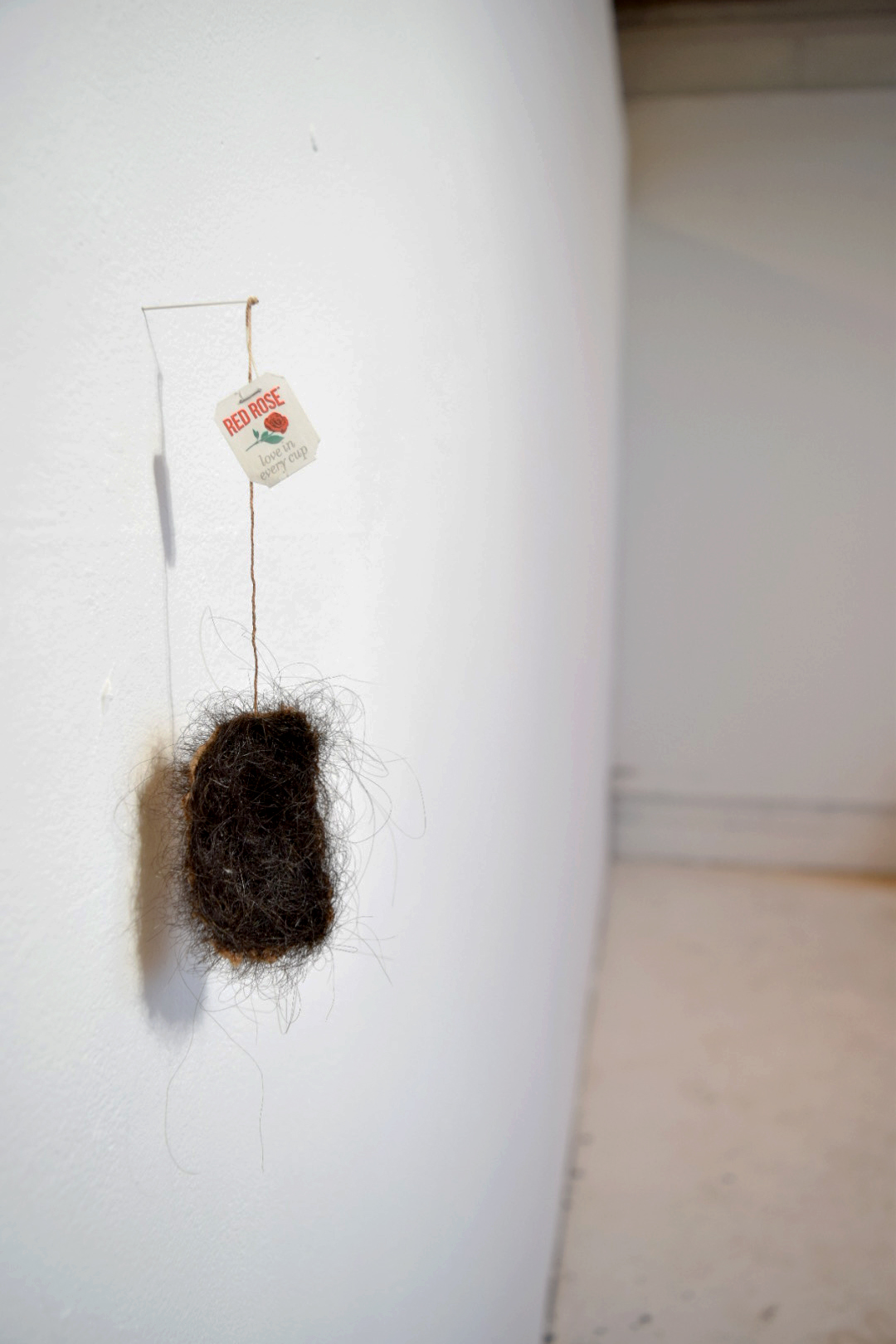 Photograph of a tea bag stitched and covered completely with dark hair. The hair protrudes from the tea bag messily. that has been suspended from a pin on a white and otherwise empty wall. The tea bag tag has very small writing.