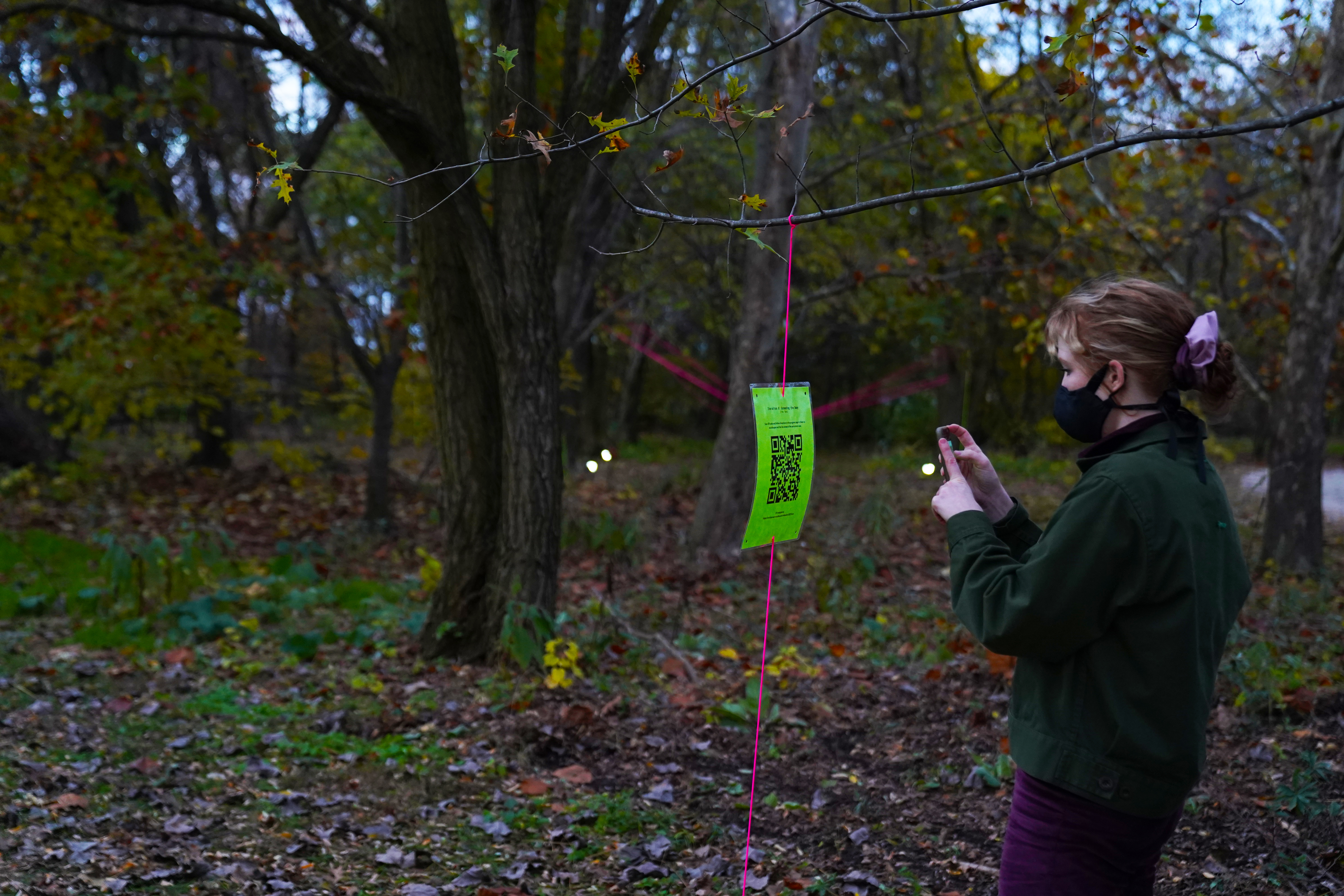 A photograph that shows an autumnal landscape, with trees dropping their yellow and brown leaves, that is slightly darkened. A figure stands on the right side of the image, facing the center of the image, and takes a phone picture of a neon green paper sign that hangs from a neon pink string. The figure wears a dark green pullover sweater and a black face mask and pants. 