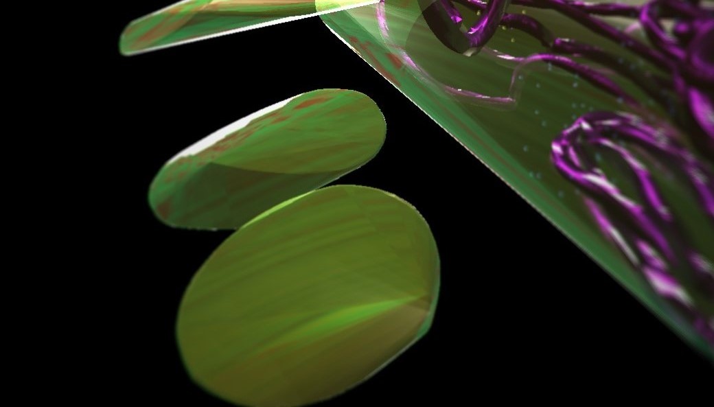 A digital rendering with a black background and three green chip-like structures going from the top of the image to the bottom. They are illumiated by top light and are next to a much larger green object with a purple, tubular structure that takes up the entire upper right hand corner of the image.