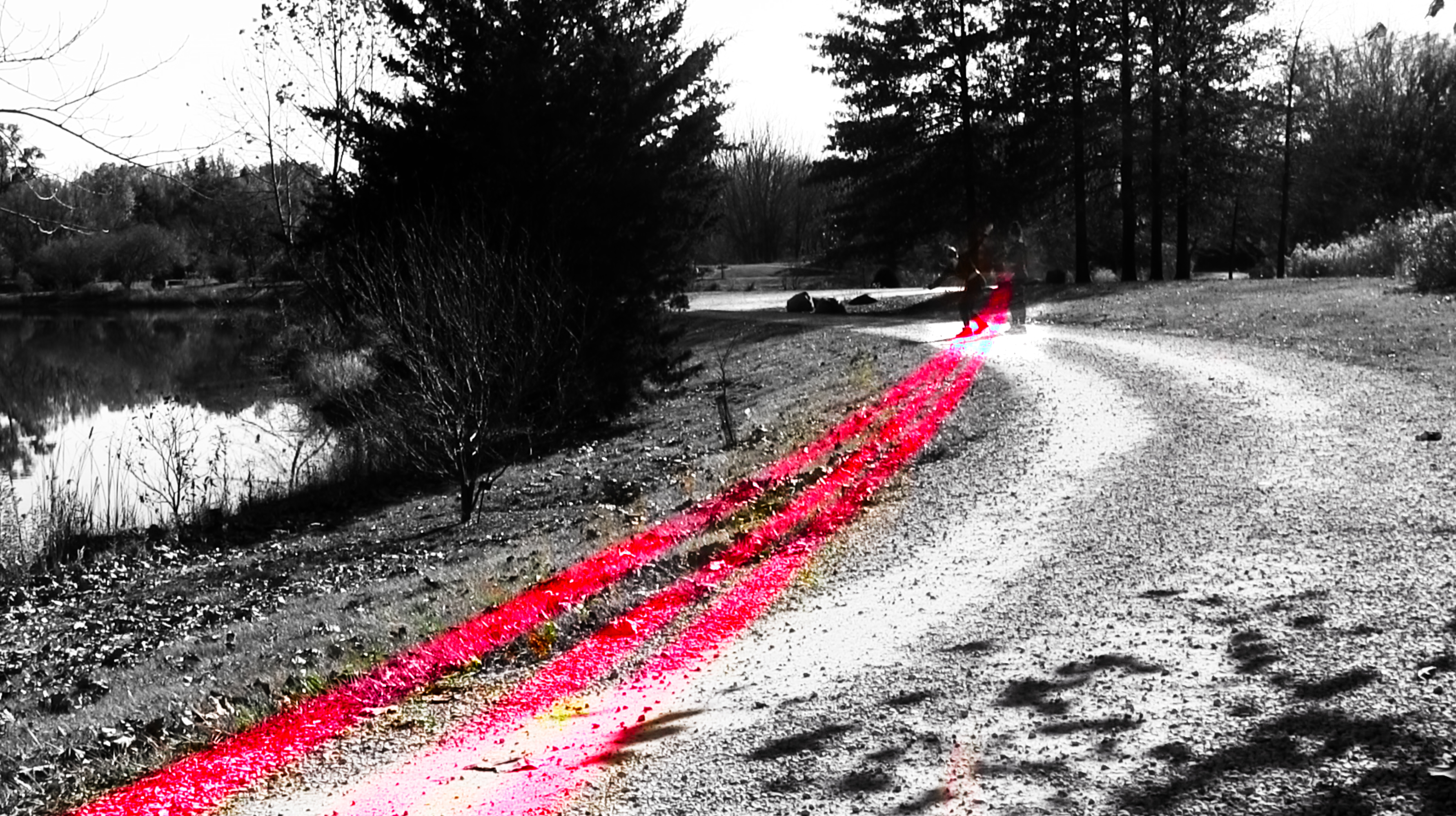 A black and white landscape photograph that shows a path curving around a bank of grass and pine trees. Three pinkish-red lines extend diagonally across the image from the bottom left corner, to a figure far off down that path.