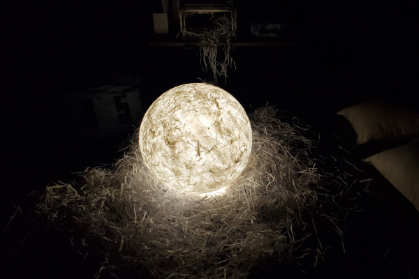 A lantern with glowing white light sits on the floor in a dark room. It is surrounded by a nest of shredded paper. 