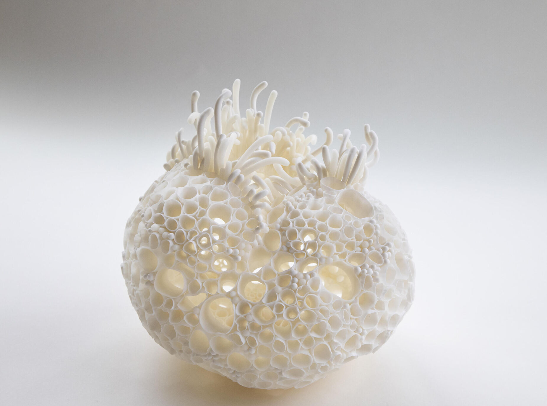 A delicate sculpture of sprouts releasing from an orb like source