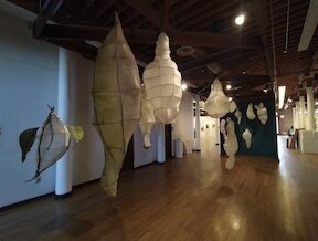Cocoon shaped paper hanging from a wooden ceiling 