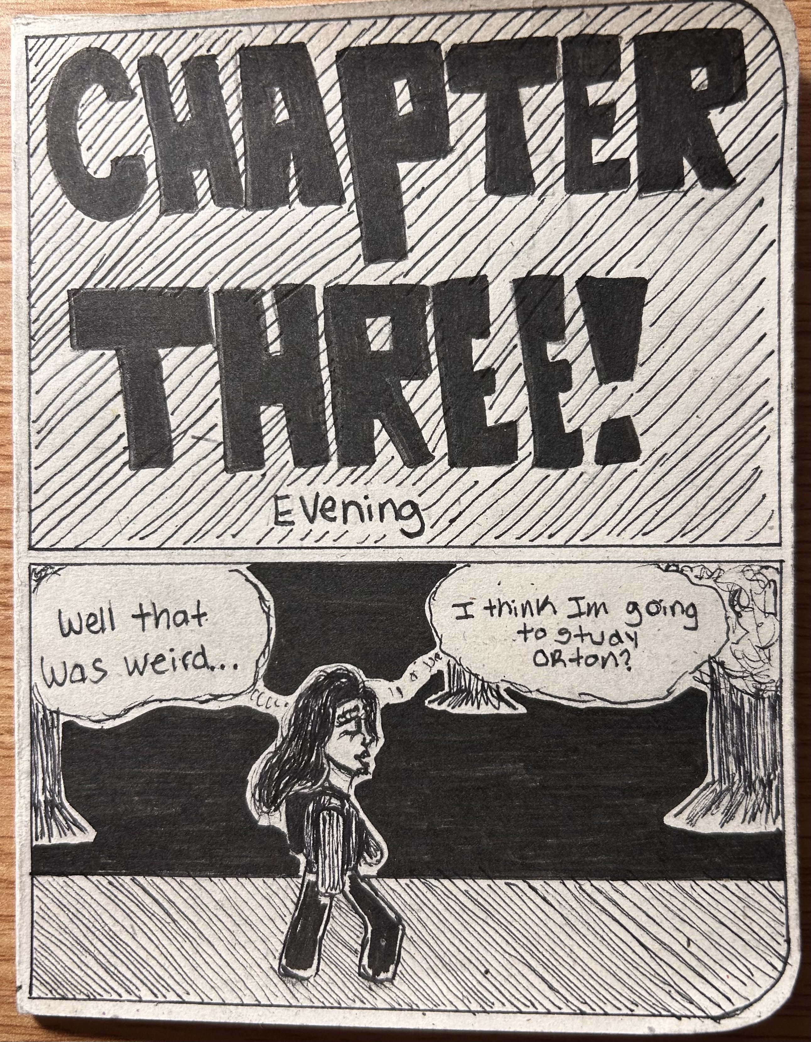 A title page for "Chapter Three: Evening," featuring a character with long dark hair walking through a park at night, thinking about going to "study Orton?".