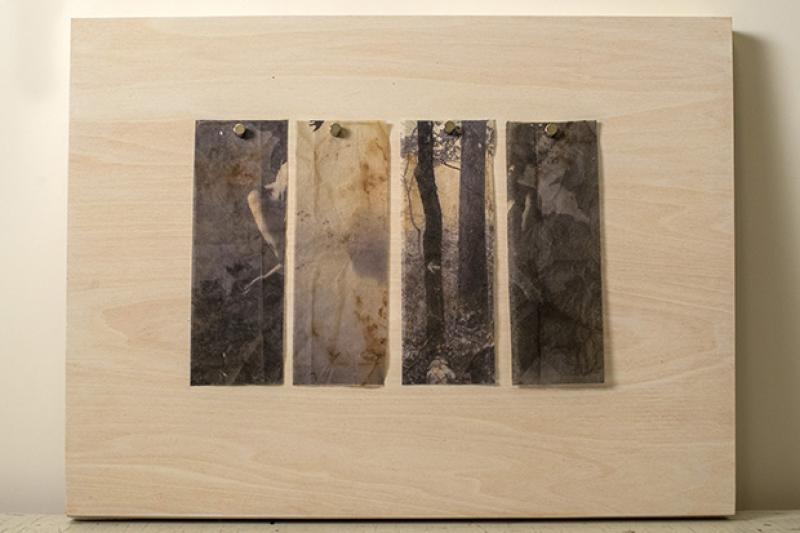 inkjet print on tea bags