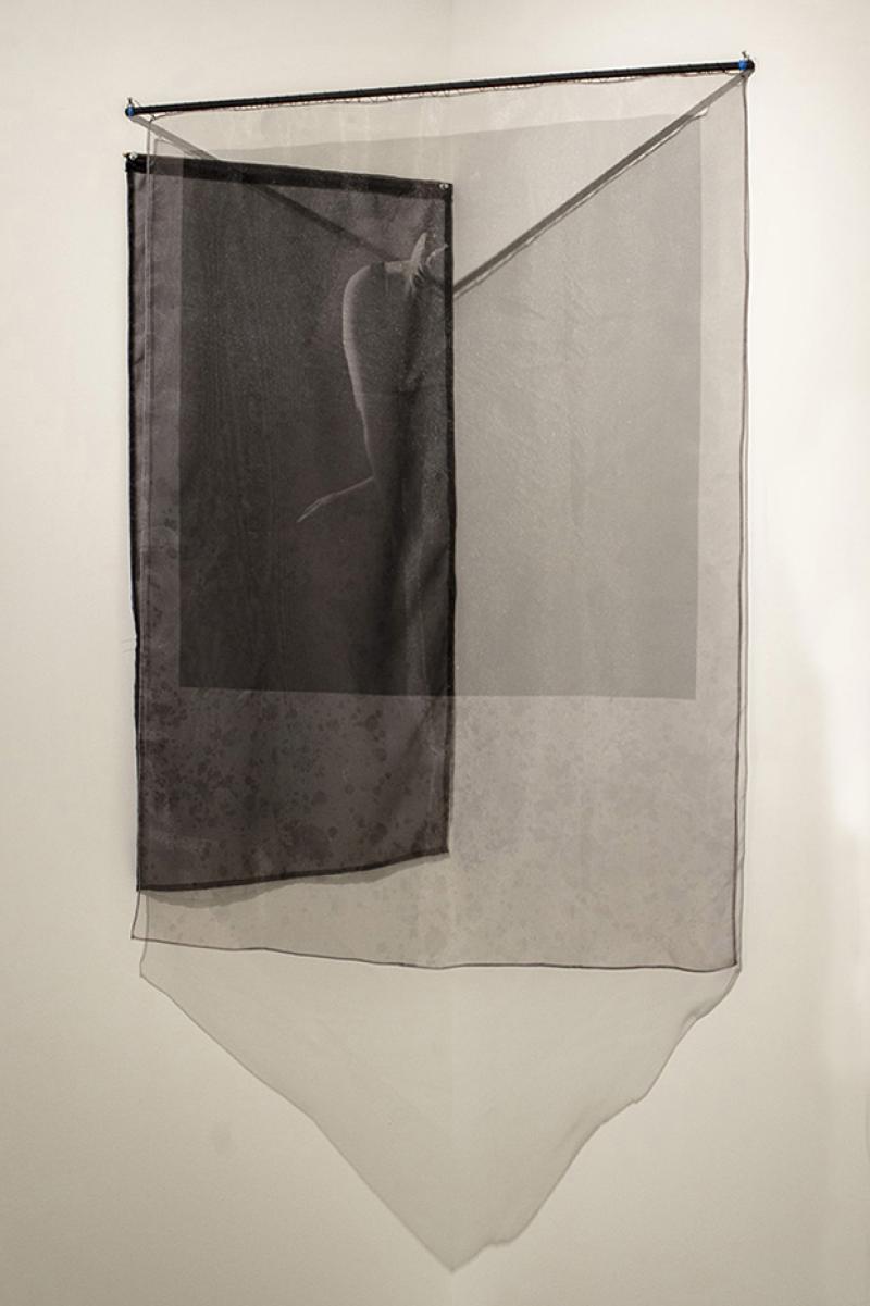 digital photograph printed on organza