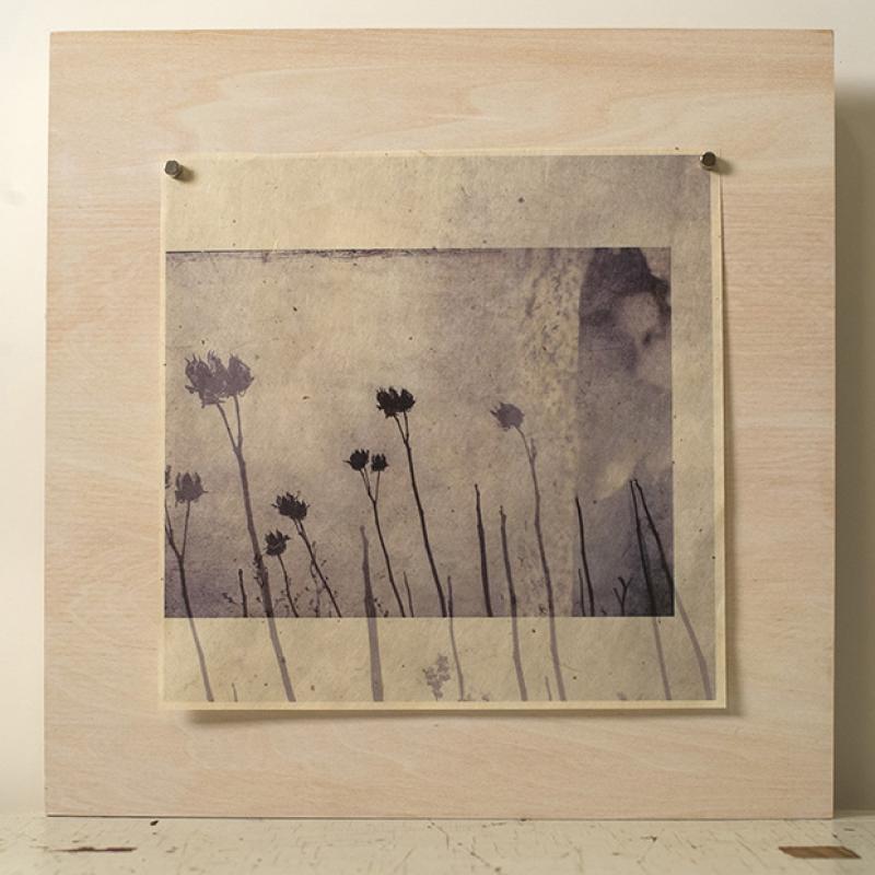 inkjet print on gampi paper