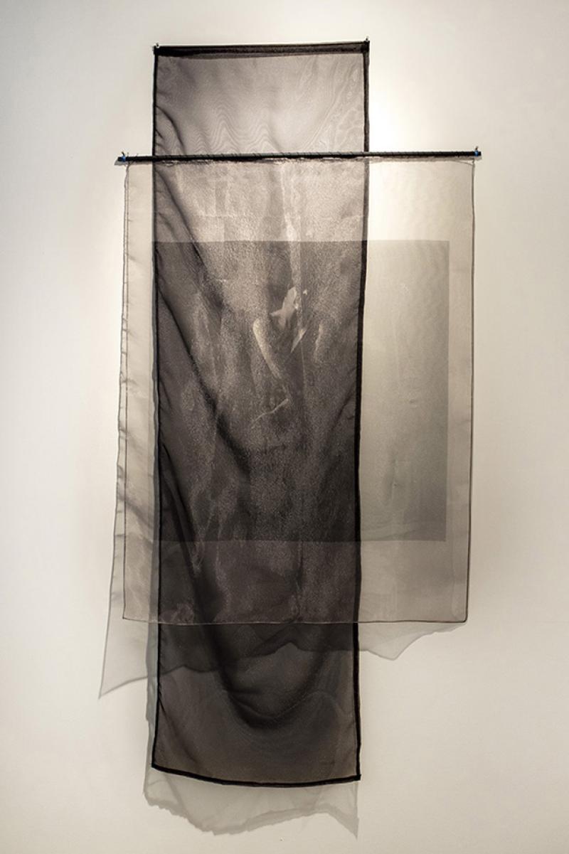 digital photograph printed on organza