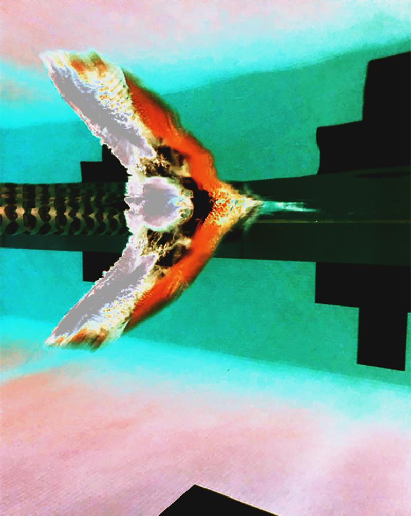 abstract underwater image