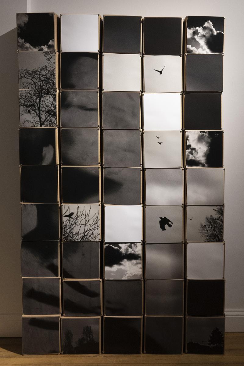 digital photographs on cardboard boxes