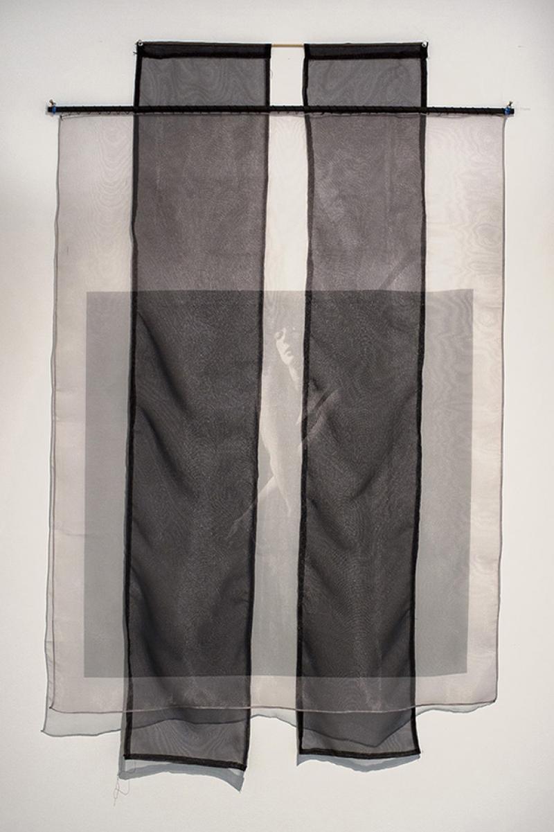 digital photograph printed on organza 