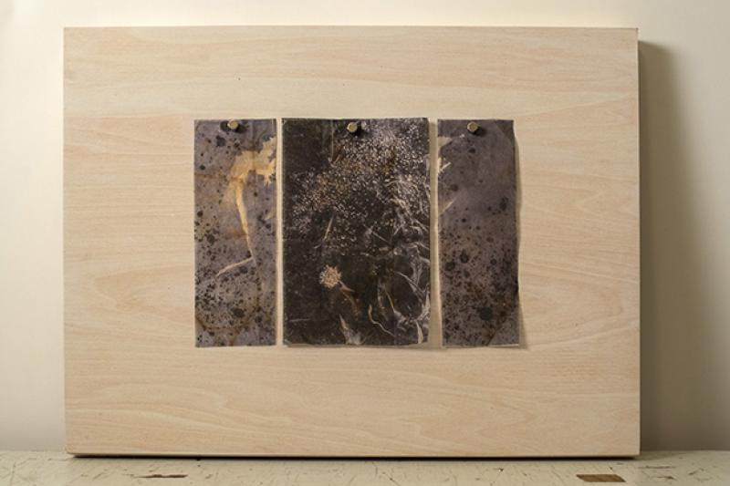 inkjet prints on tea bags