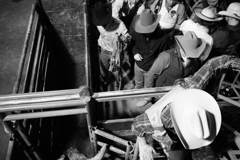 Artwork by Julian Foglietti