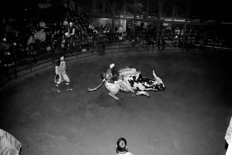 Artwork by Julian Foglietti