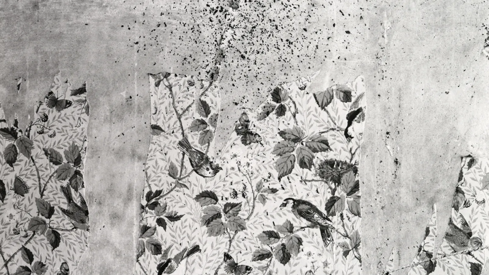 Matt Austin, Charleville Birds (wallpaper), archival pigment prints, 2008