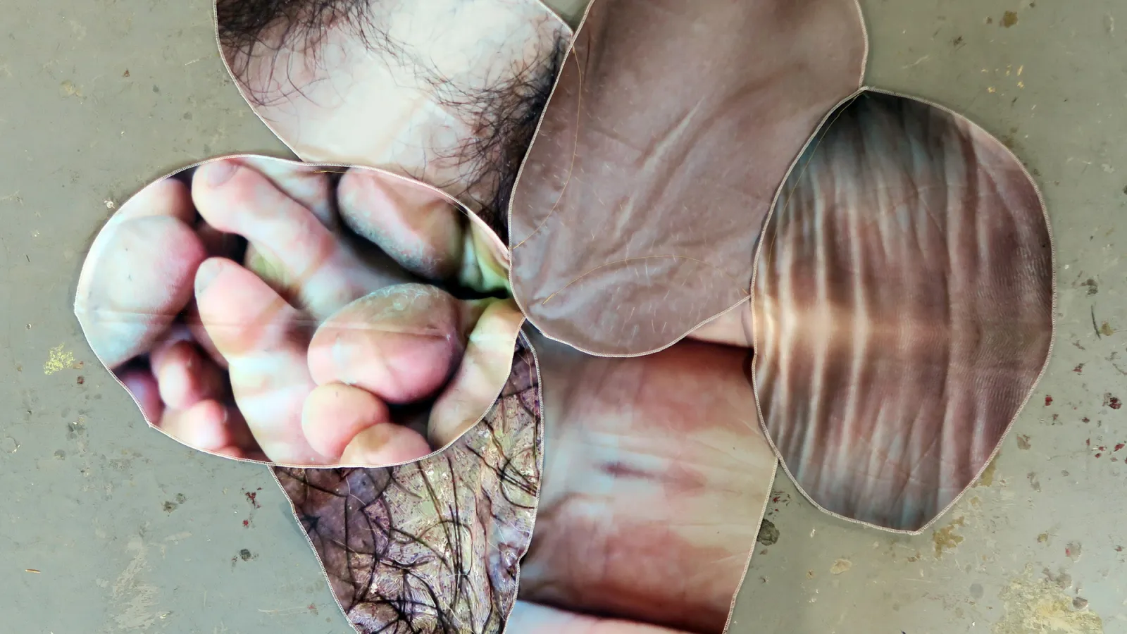 Maria DiFranco, Growth, digital prints, mixed media, spits, burning, 2015.