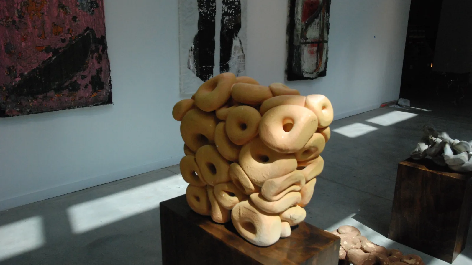 BFA Spring 2014 exhibition, Photo by Ada Matusiewicz