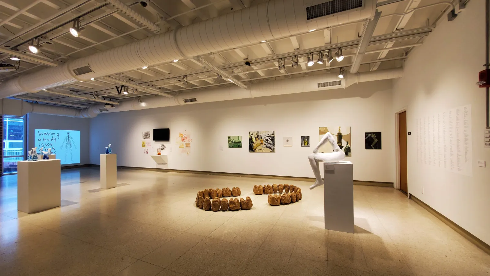 gallery view 2 of the AU BA Senior Projects Exhibition at HHG 