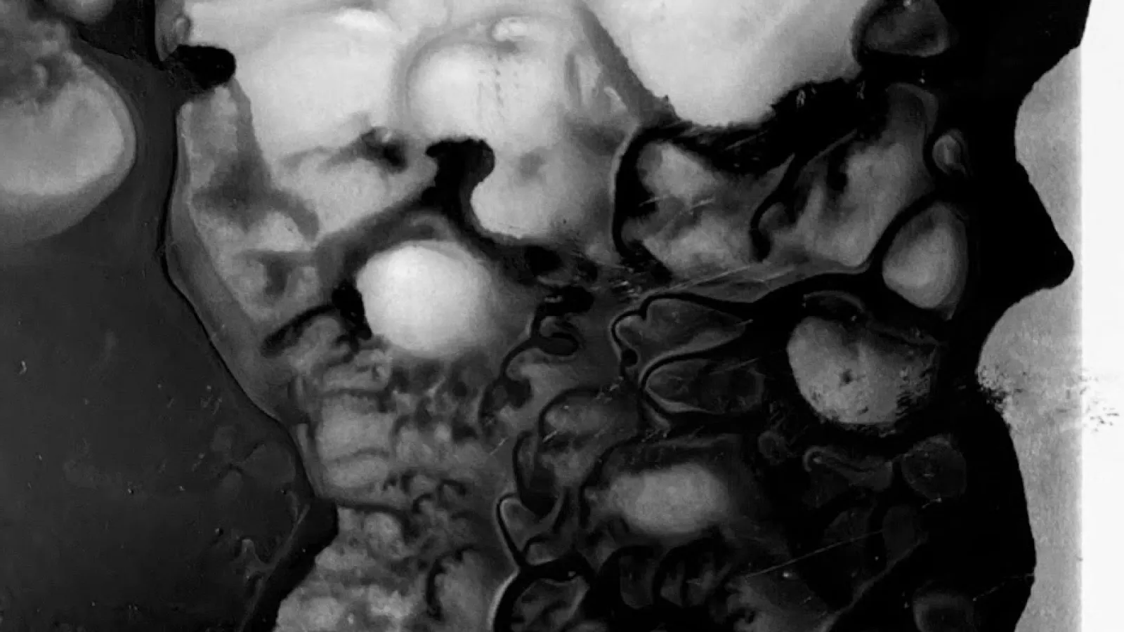 closeup of what looks like black ink suspended in water or resin