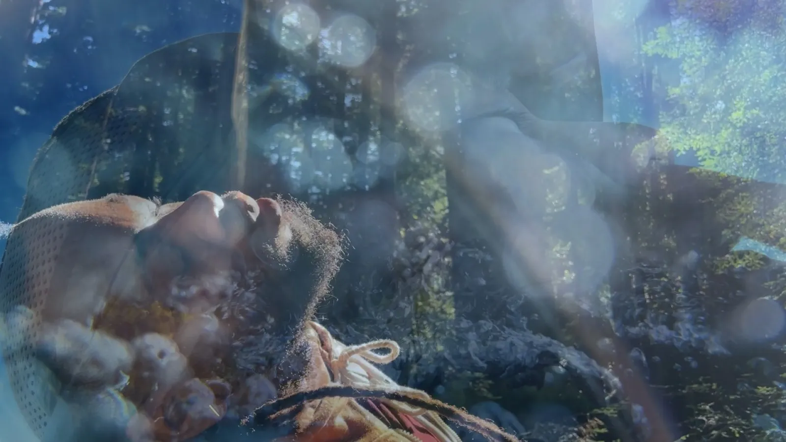 man sleeping in woods