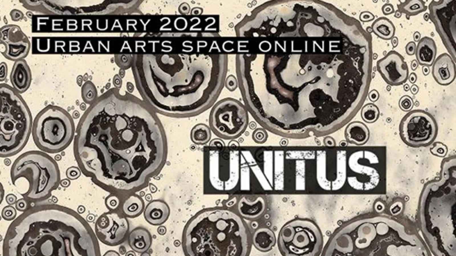 Unitus opening home page 