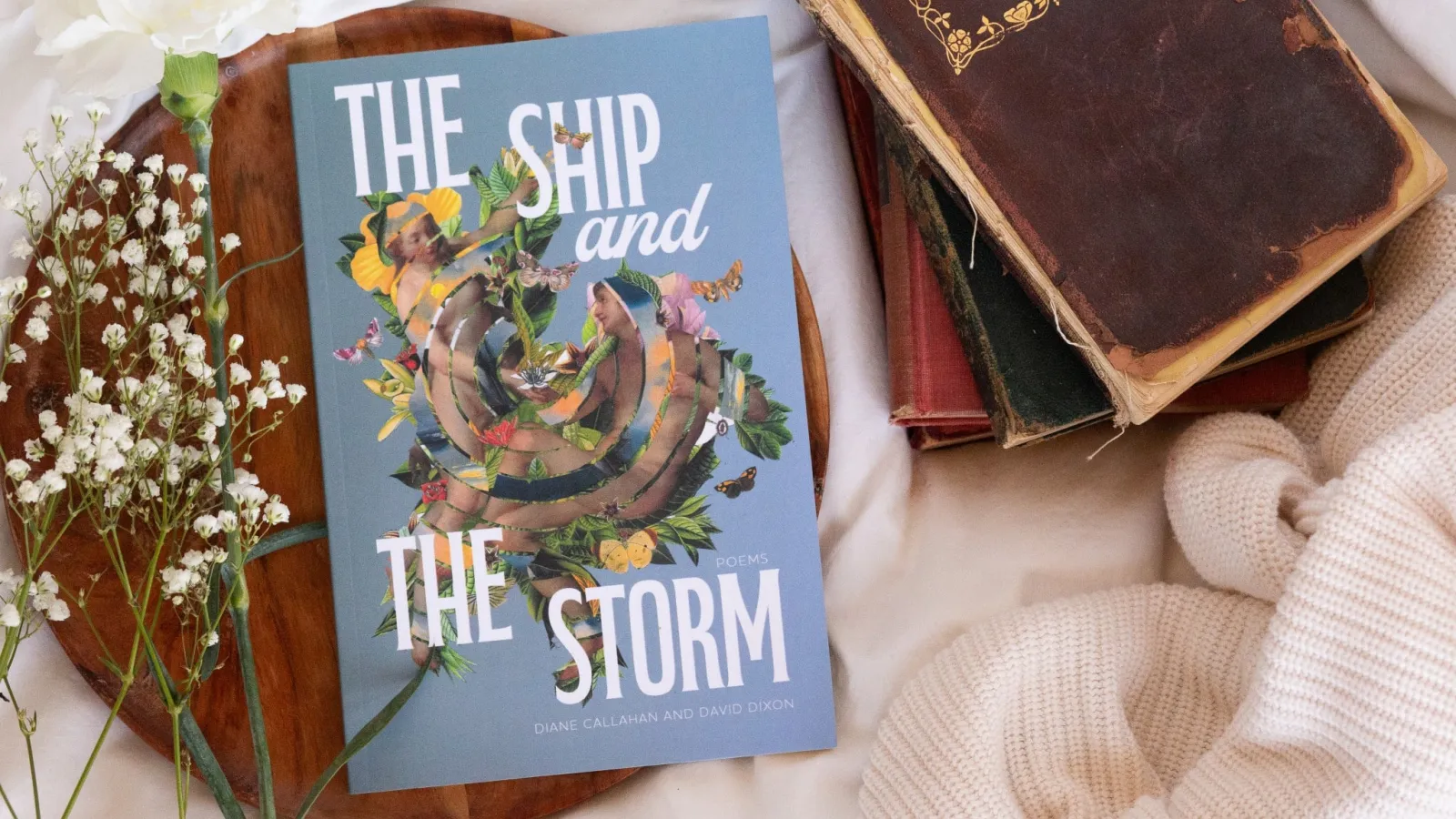 blue cover with collaged adam and eve and title the ship and the storm on a wooden circle