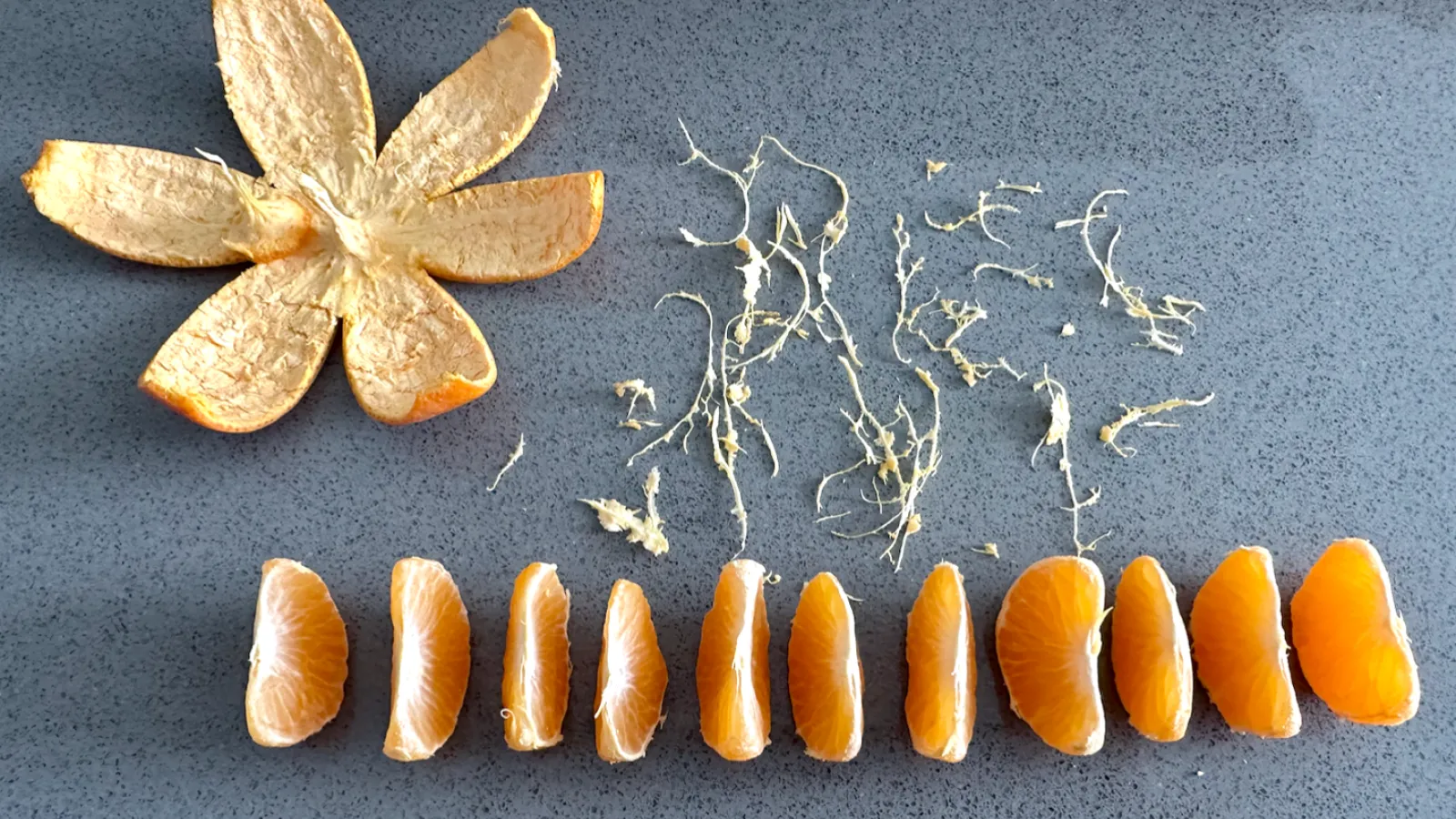 dissected orange
