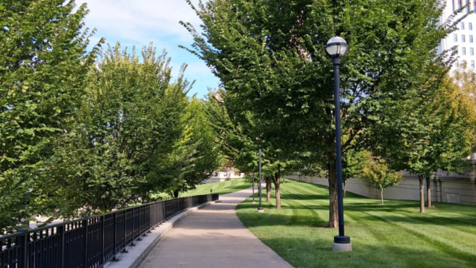 pathway lined with trees