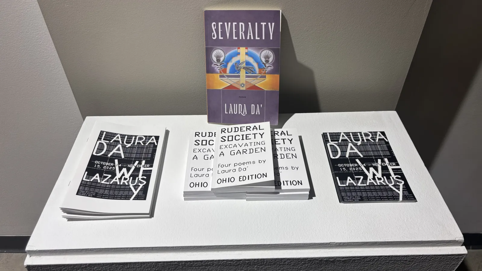 severalty poetry book amongst flyer's for why lazarus