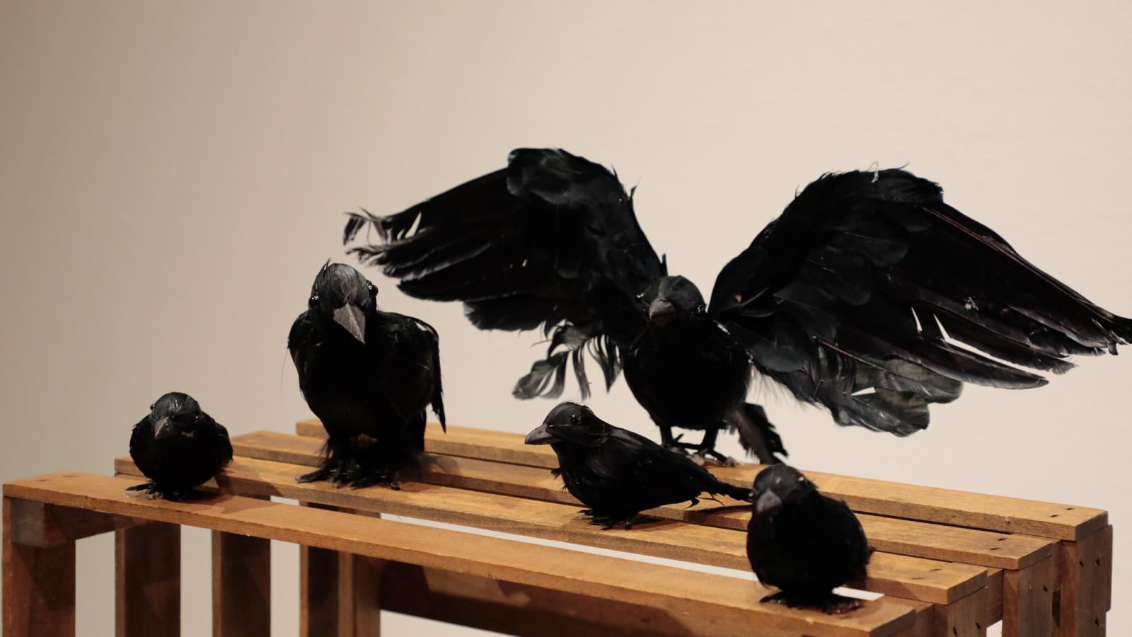 Five black birds sit on top of a wooden crate. 