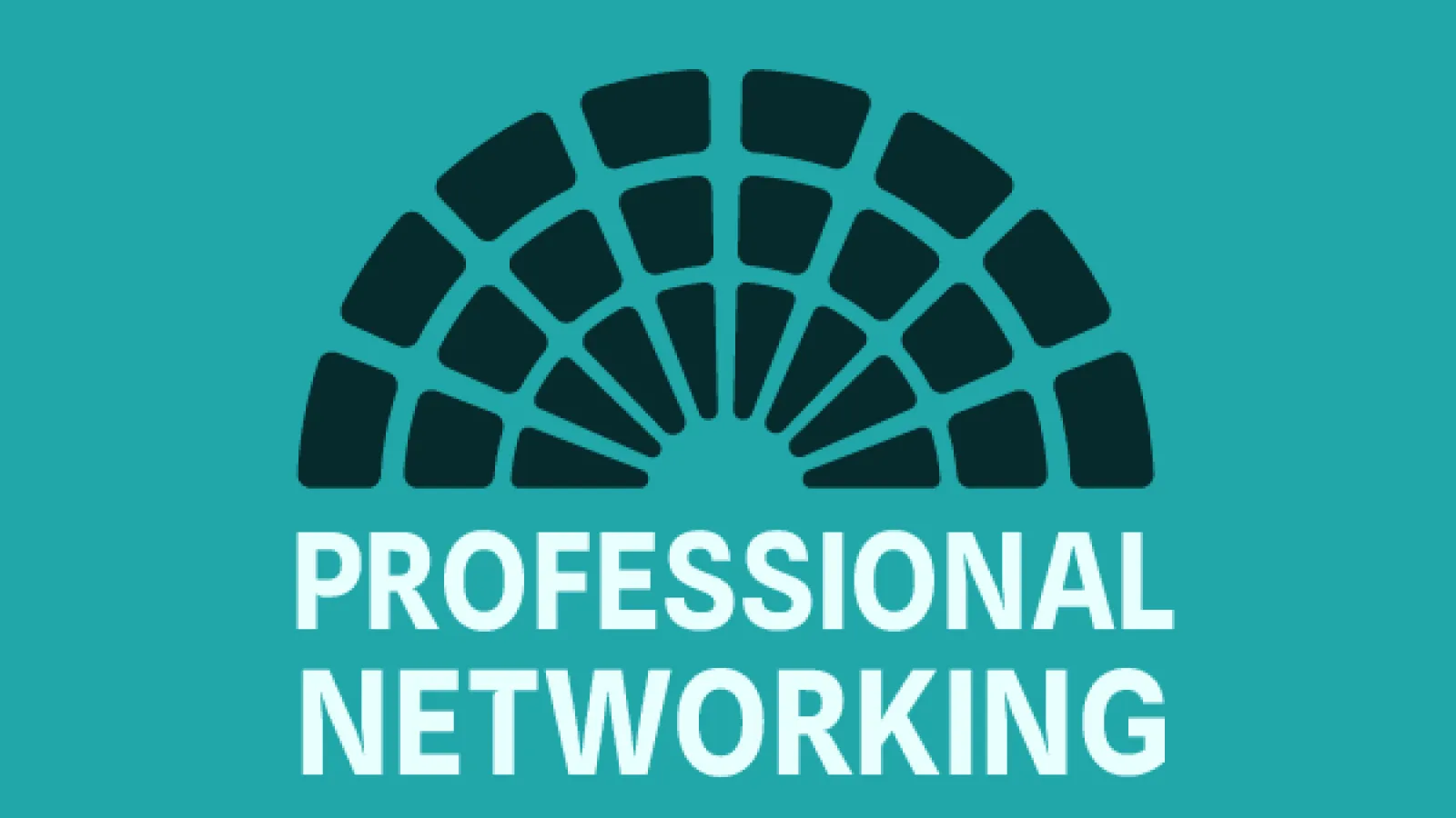 Teal background with "Professional Networking" written on top.
