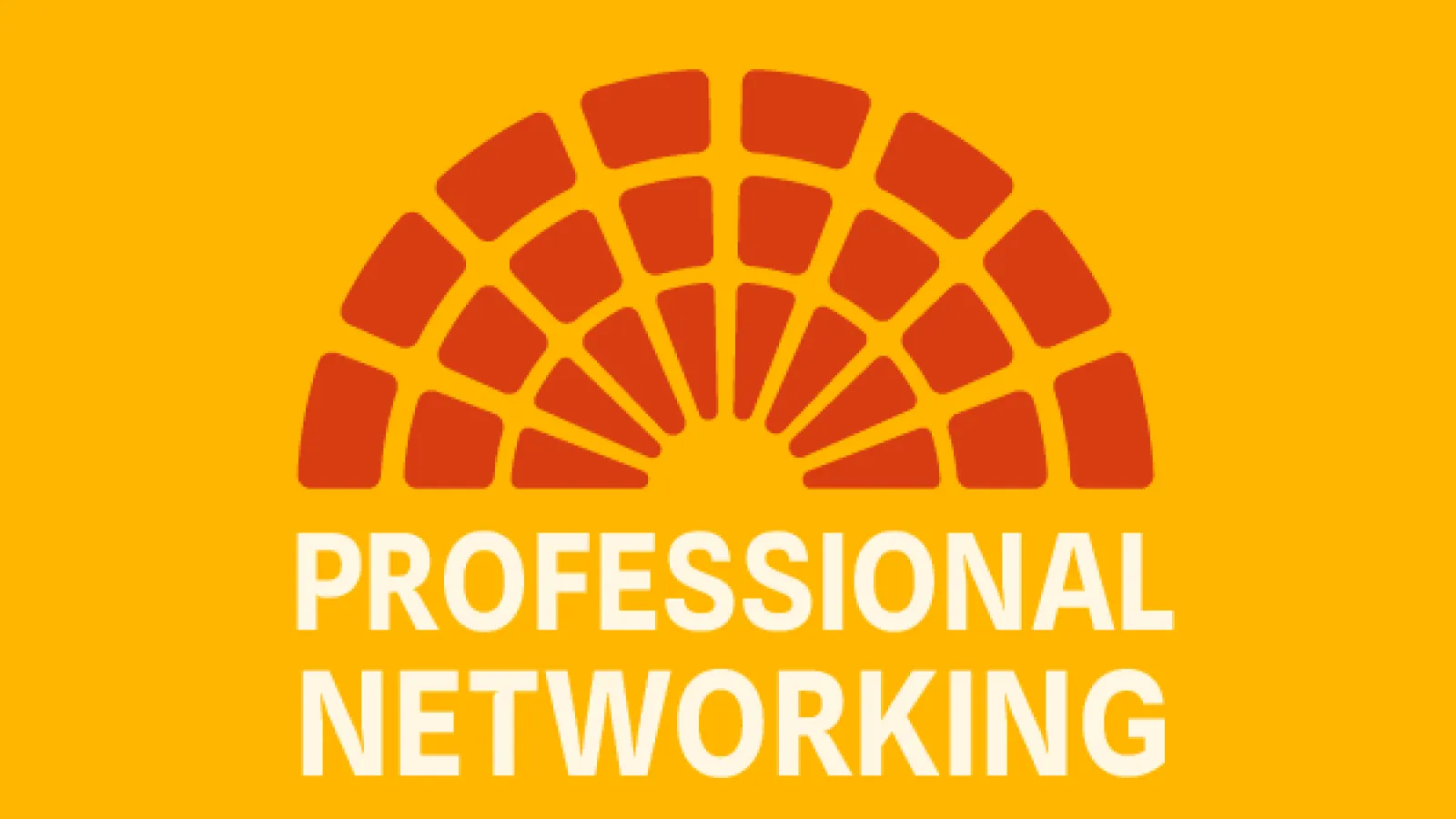Orange background with "Professional Networking" written on top.