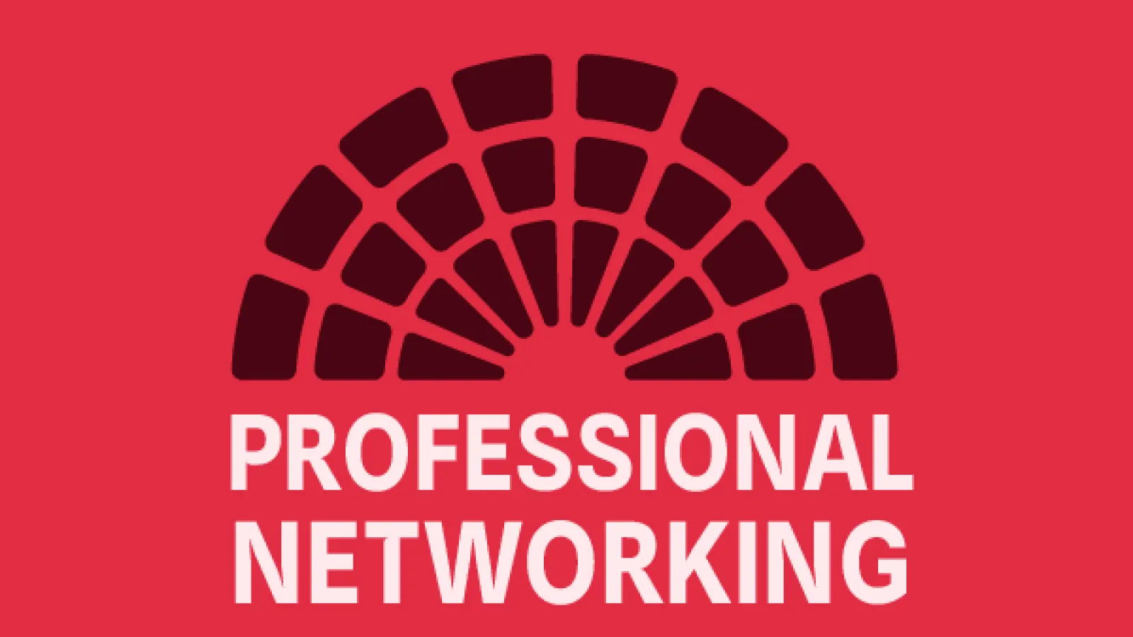 Red background with "Professional Networking" written on top.