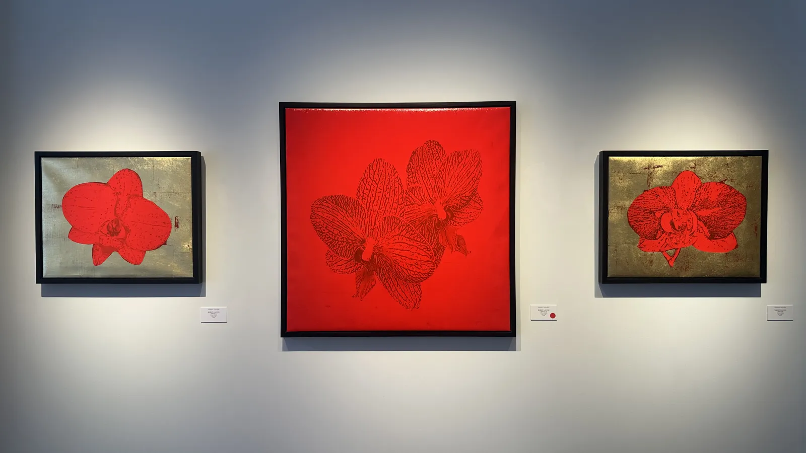 three paitnings of red flowers