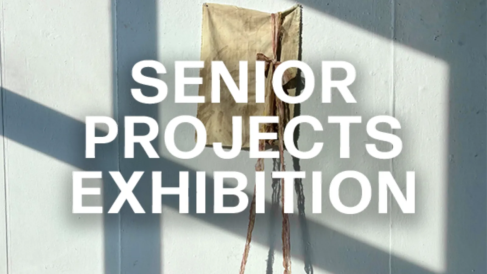 Senior Projects Exhibition over a piece of hanging fabric art in the sun
