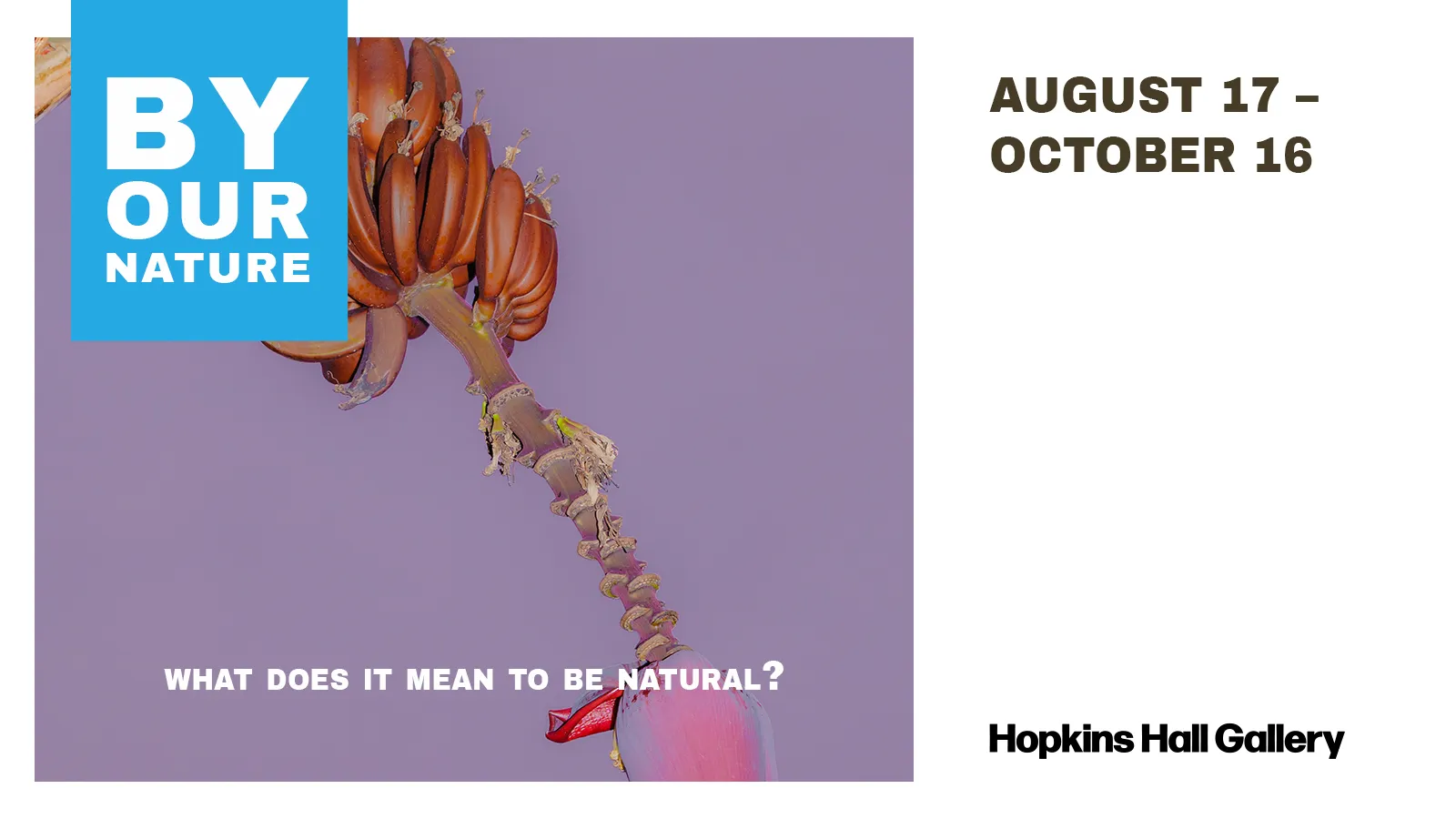 Event banner featuring reddish-brown bananas on a purple background with text: "By Our Nature," "What does it mean to be natural?", "August 17 – October 16," and "Hopkins Hall Gallery."