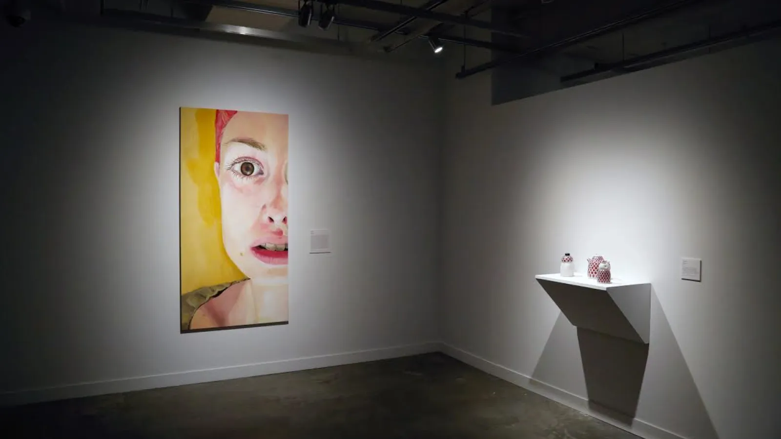 Installation view, Fergus Scholarship Exhibition. Photo by Annalisa Hartlaub