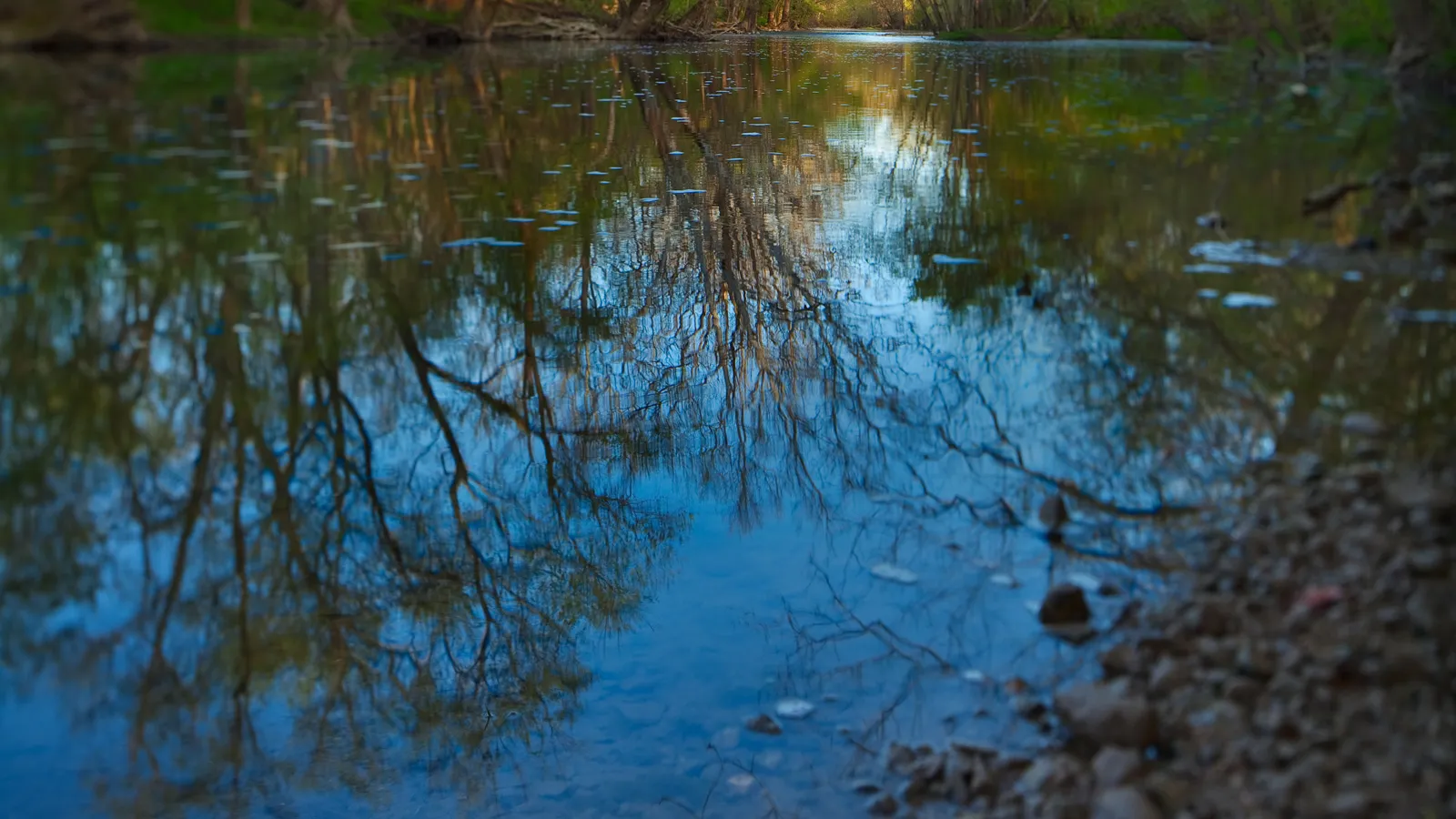 "A Clear April Morning," 2010