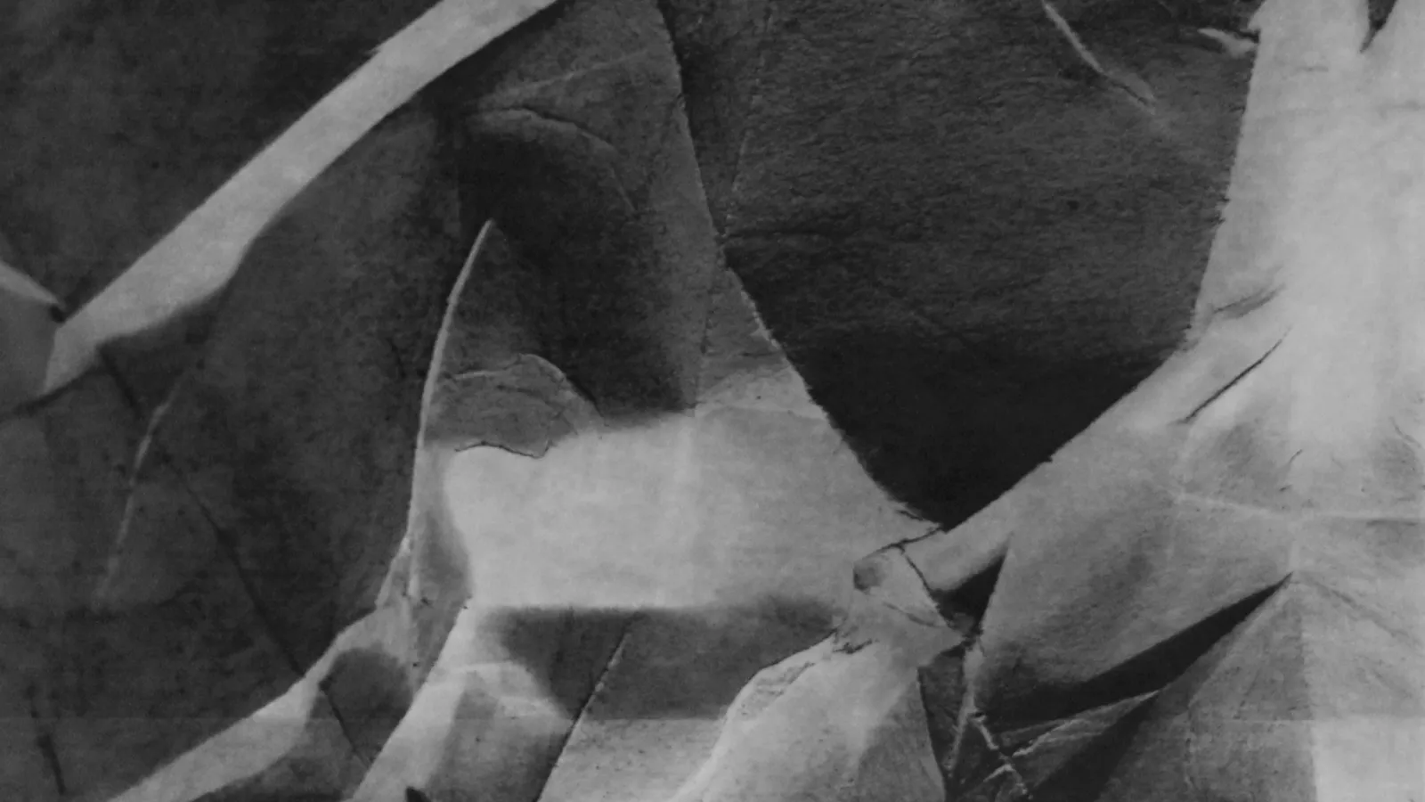 Image of Sage Lewis: "Anterior," charcoal and pastel on laser toner enlargement print, 2013