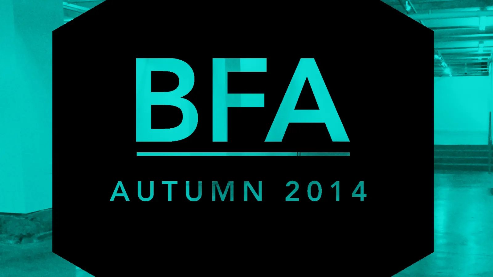 Autumn 2014 BFA: December 2 - 20, 2014