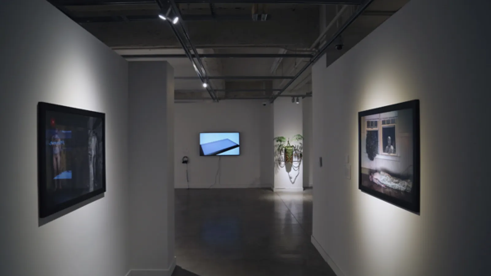 gallery view 
