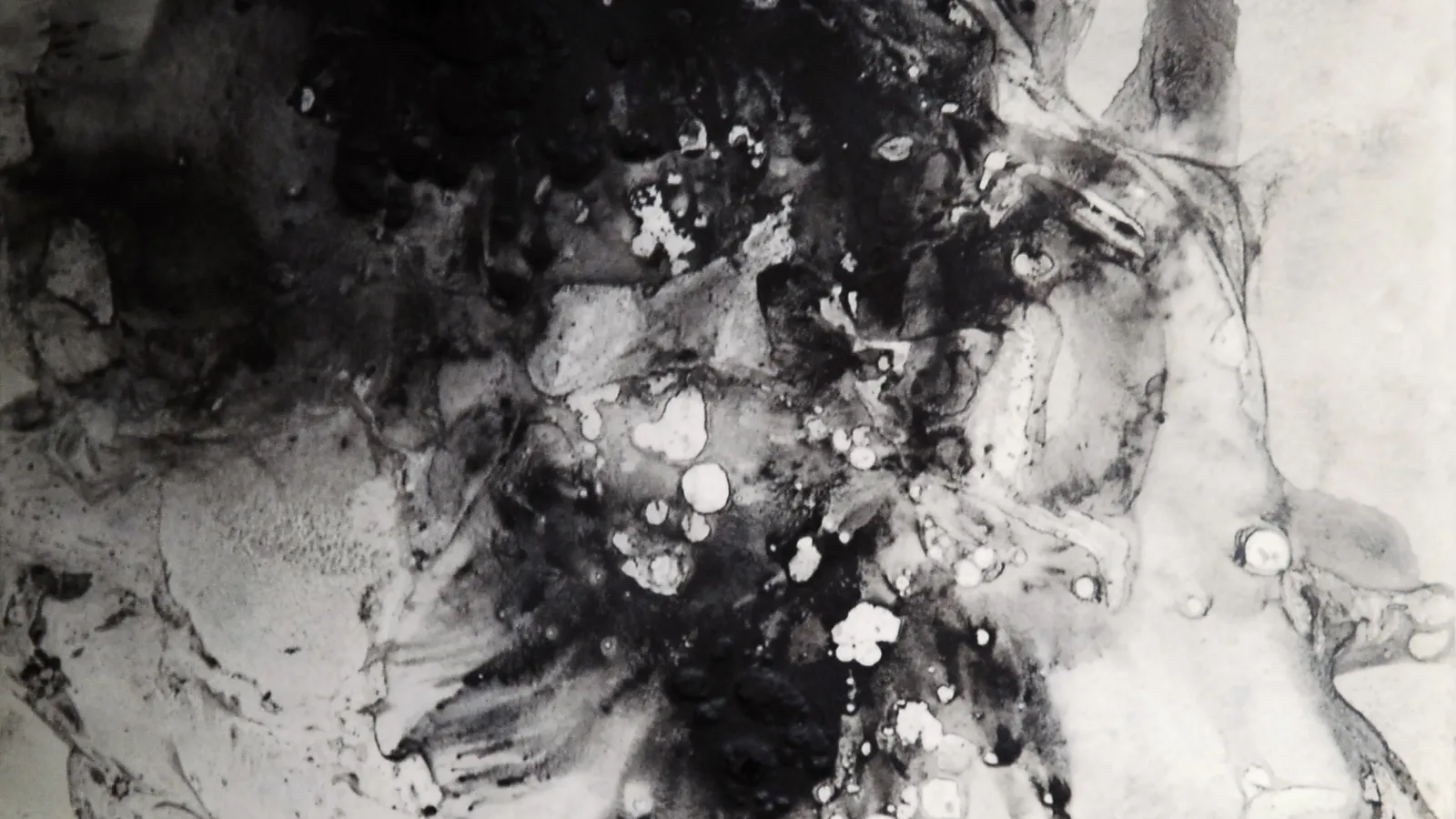 Lauren Skunta: Ground 1, 2010