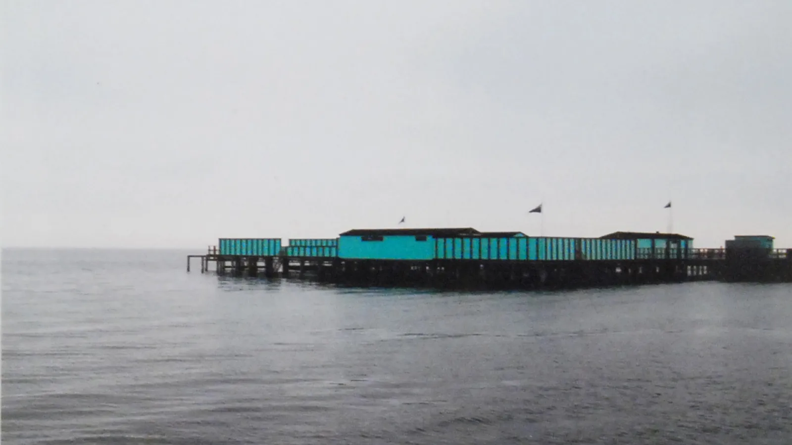 Elizabeth Celeste: "Amager Stand," 2010