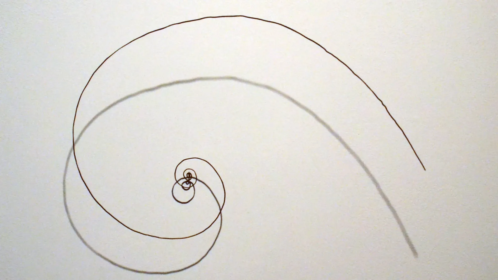 Carmel Buckley and Tim Rietenbach: "detail of Untitled (massacre the collaboration)," hydrocal molds, wire, 2013