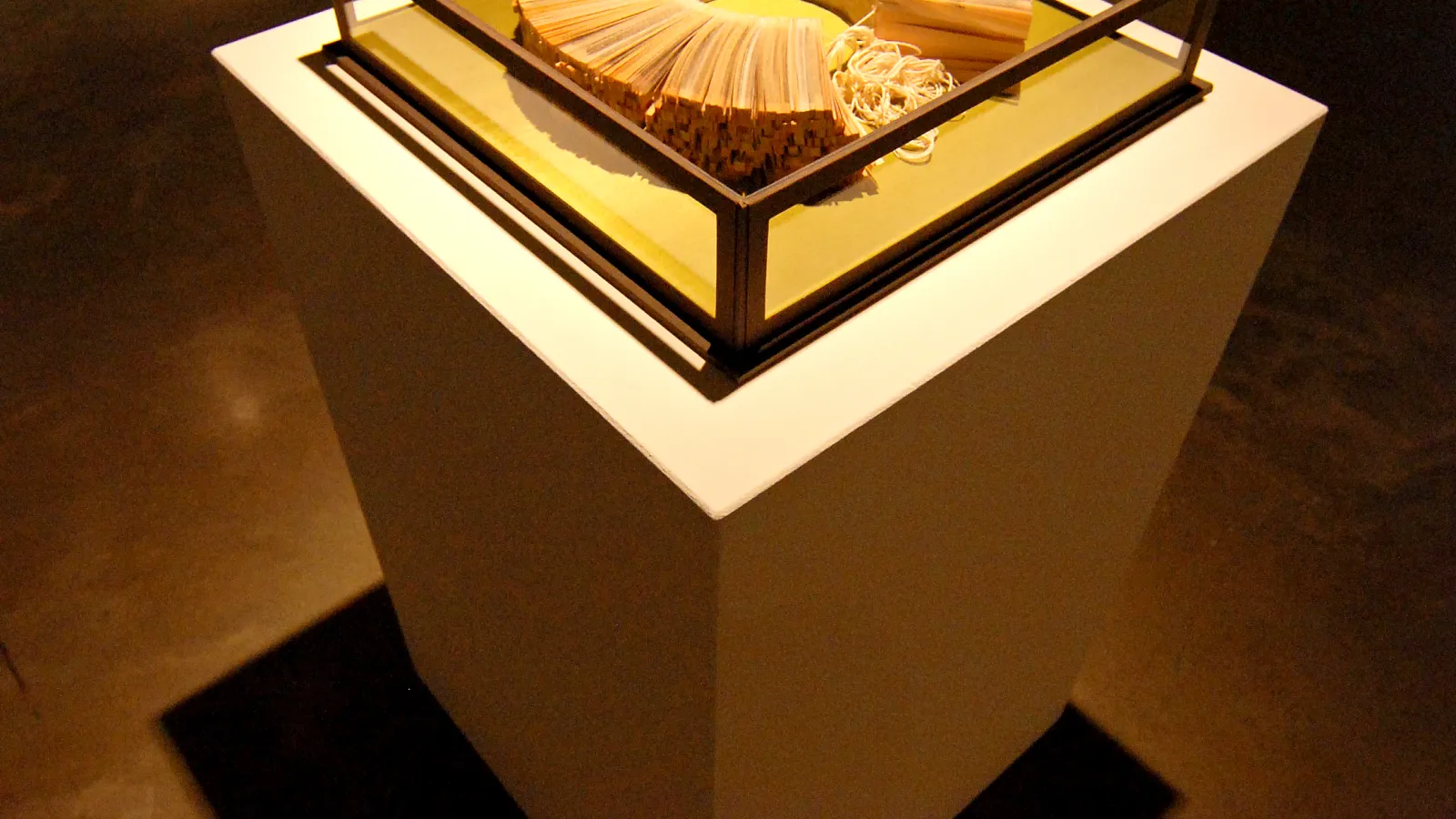 Ann Hamilton: "Carriage 10 of 15," 2009 