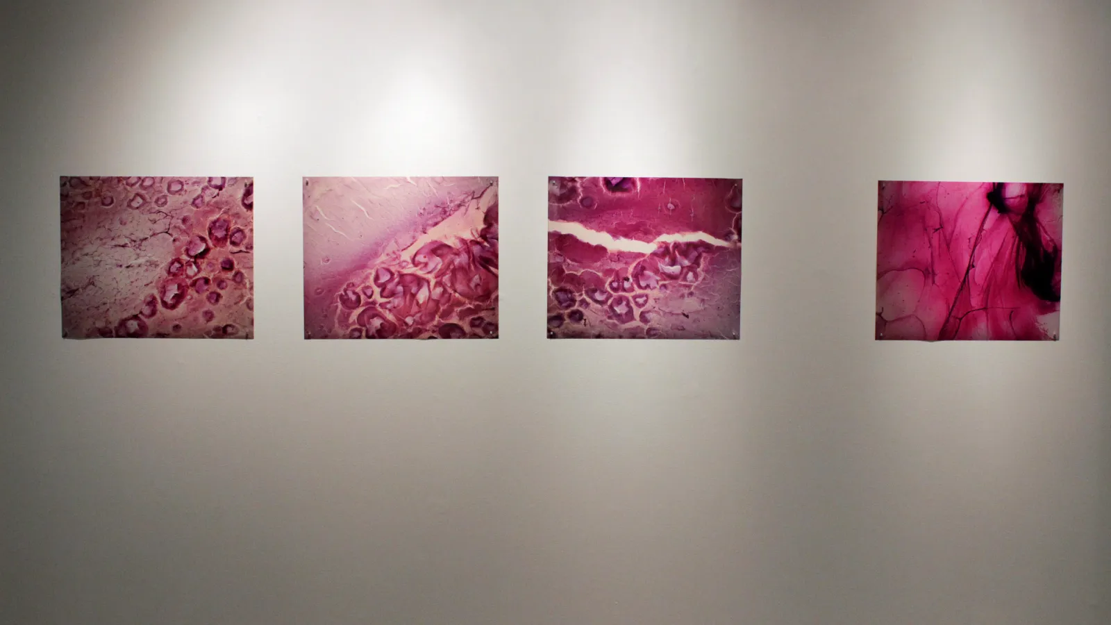 Art in the Shadows Image 2014