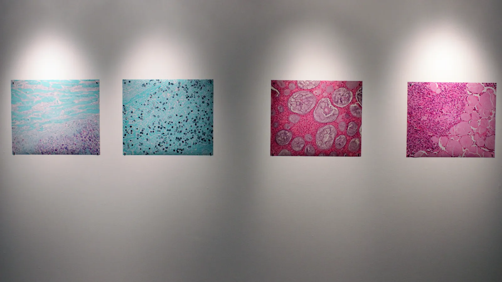 Art in the Shadows Image 2014